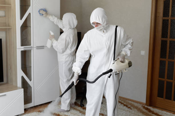 Best Crawl Space Mold Removal  in Santa Moni, CA